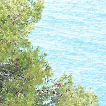 Blancos Rooms Hotel Peñíscola Dış mekan fotoğraf