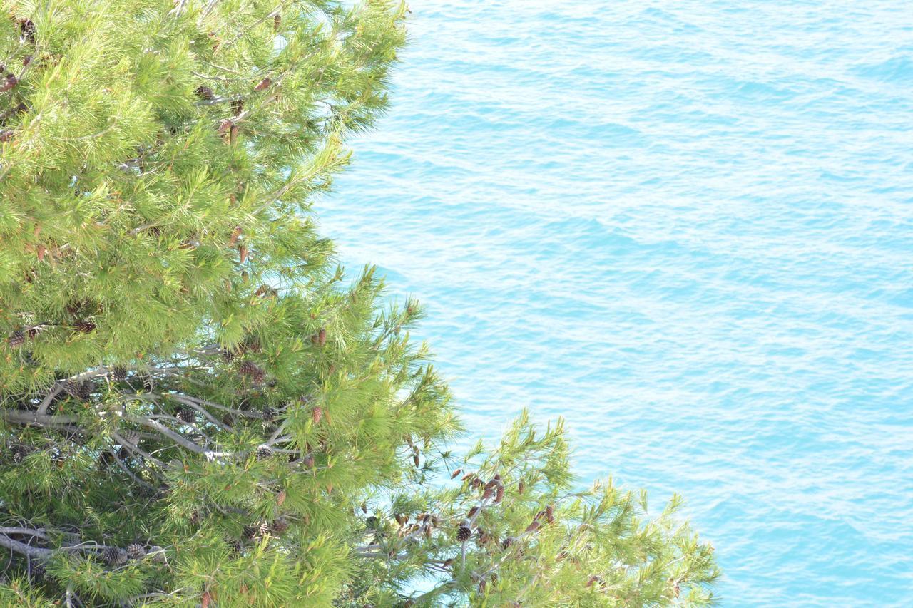 Blancos Rooms Hotel Peñíscola Dış mekan fotoğraf