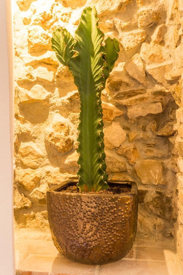 Blancos Rooms Hotel Peñíscola Dış mekan fotoğraf